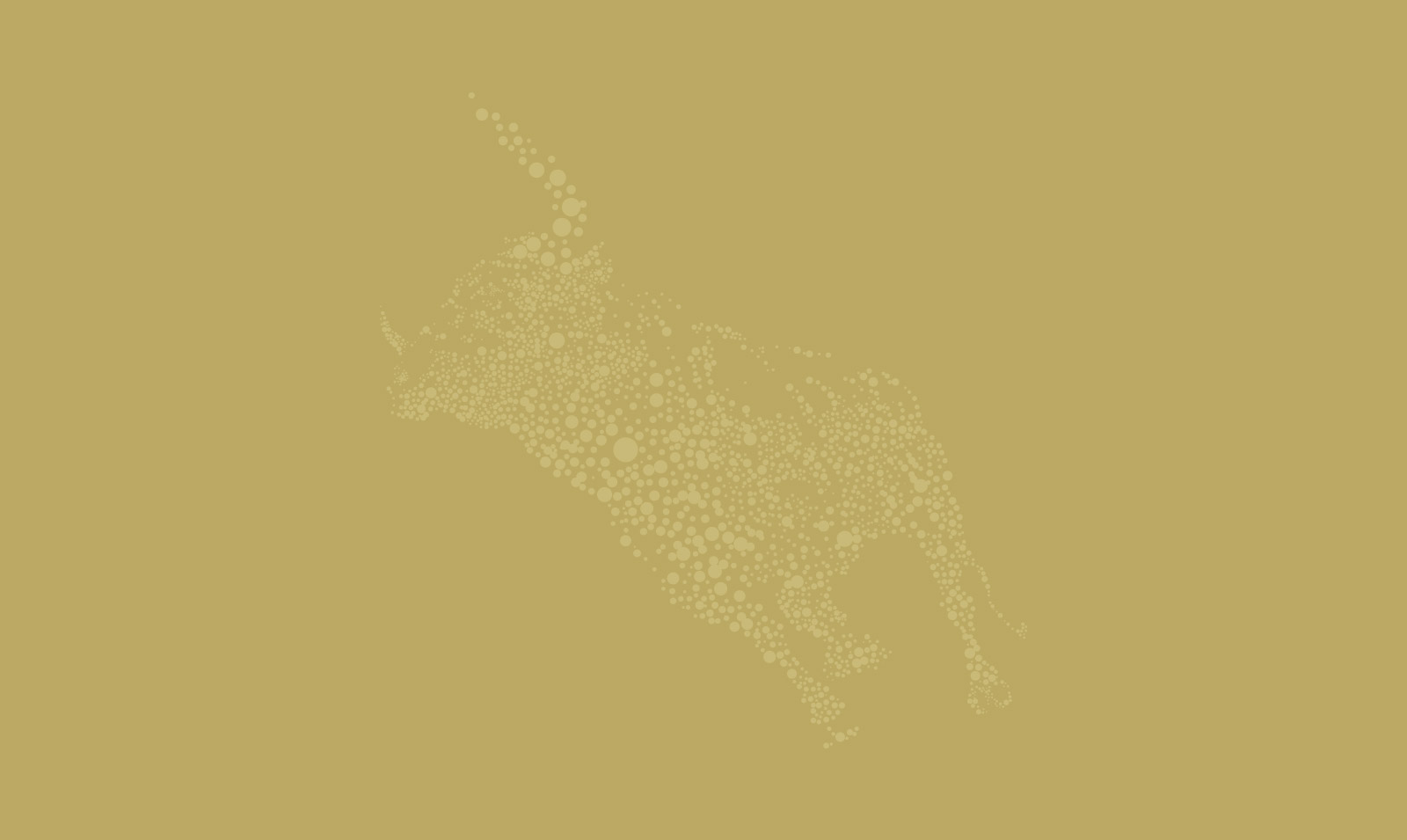 Our Way Of Managing Money Puts You First